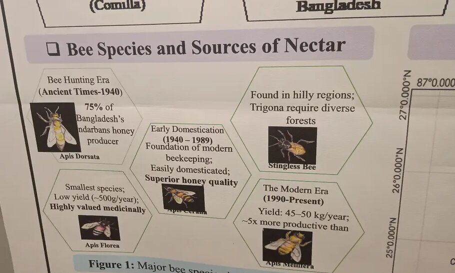 Poster section comparing bee species and their honey in Bangladesh