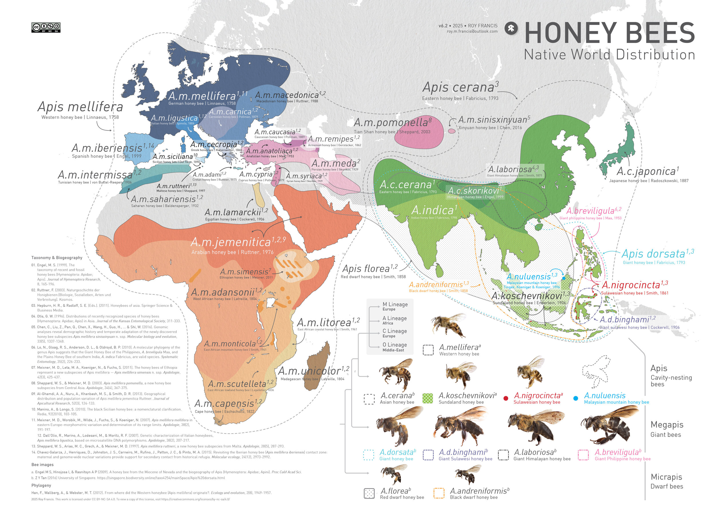 Map of the native world distribution of honey bee species and subspecies